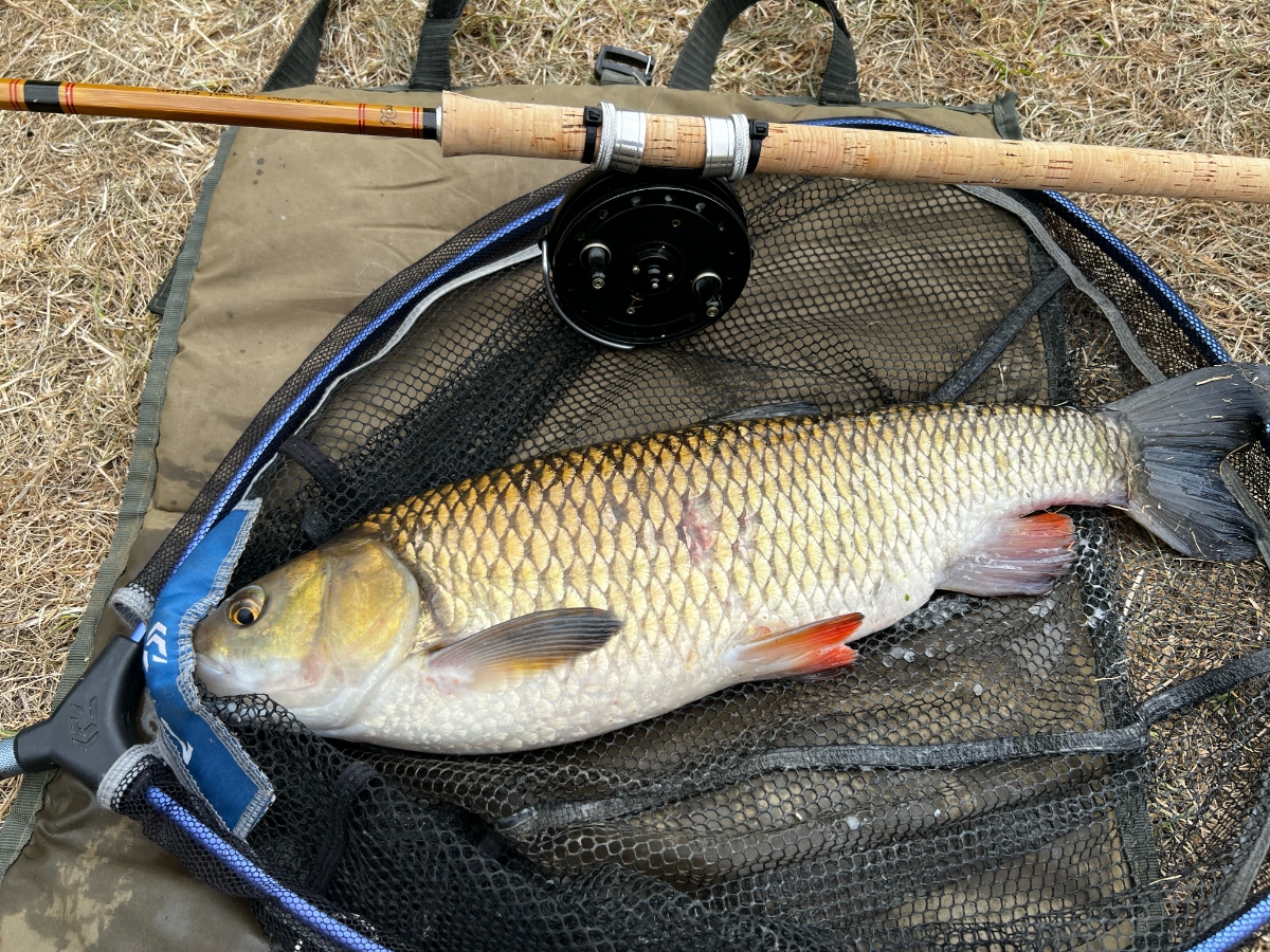 chub 4lb 8oz